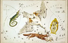 Галактика Сейферта или что-то другое?