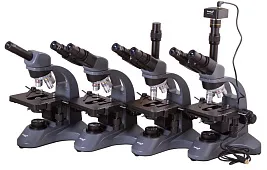 Растительная клетка под световым микроскопом