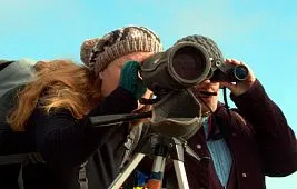 Как добиться максимального качества изображения в зрительной трубе?