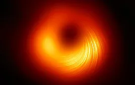 Теорема об отсутствии волос у черной дыры