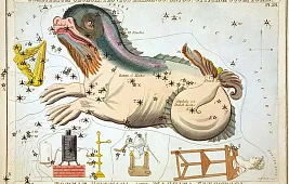 Менкар: звезда в созвездии Кита