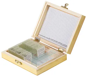 Набор микропрепаратов Konus 15: «Размножение беспозвоночных», изображение 1