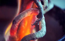 Интересный опыт Фараонова змея