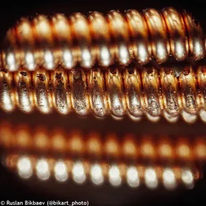 Микроскоп Levenhuk Rainbow D50L PLUS, 2 Мпикс, Moonstone\Лунный камень, изображение 20