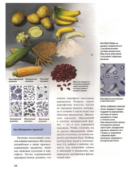 Микроскоп. Детская энциклопедия Levenhuk, изображение 3