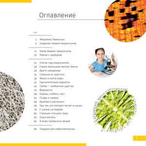 Книга знаний «Невидимый мир», изображение 2