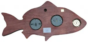 Метеостанция «Рыба», изображение 2