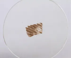 Набор микропрепаратов Konus 10: «Ящерицы, змеи и птицы», изображение 6