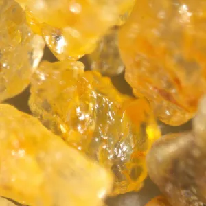 Микроскоп стереоскопический MAGUS Stereo A18T, изображение 7