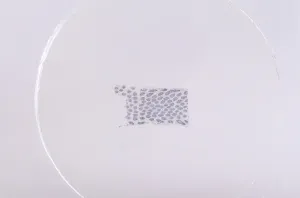 Набор микропрепаратов Konus 15: «Размножение беспозвоночных», изображение 7