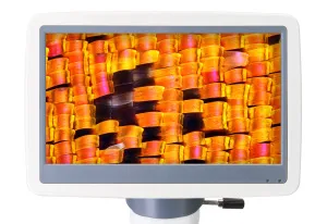 Микроскоп цифровой Levenhuk D95L LCD, изображение 6