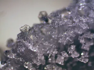 Микроскоп стереоскопический Bresser Erudit ICD 20x/40x, изображение 11