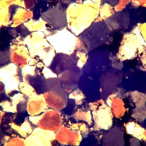 Микроскоп поляризационный MAGUS Pol 850, изображение 22