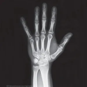 Набор 4M 00-03375 «Юный врач. Скелет человека», изображение 8